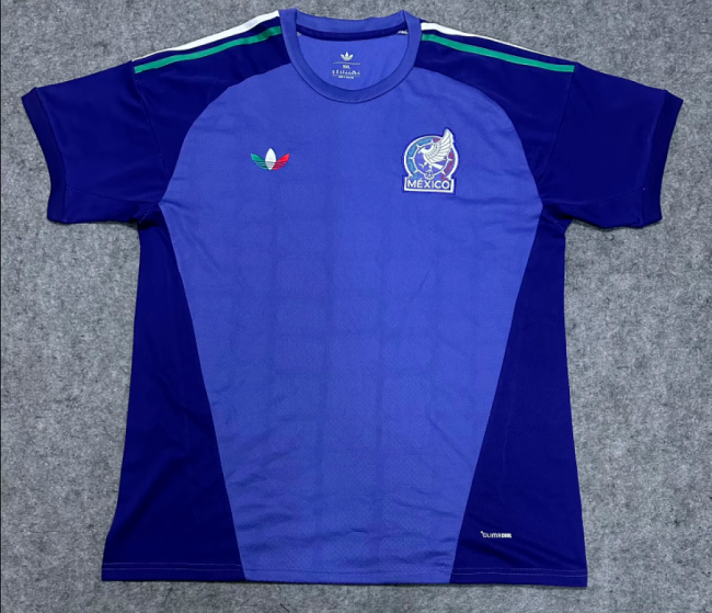 Fan Version 2026 Mexico Purple Goalkeeper Soccer Jersey Football Shirt