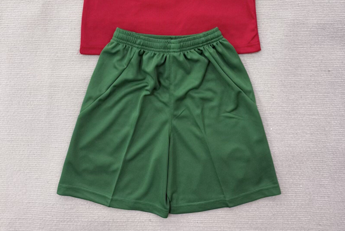 Fan Version 2026 Morocco Home Soccer Shorts Football Shorts