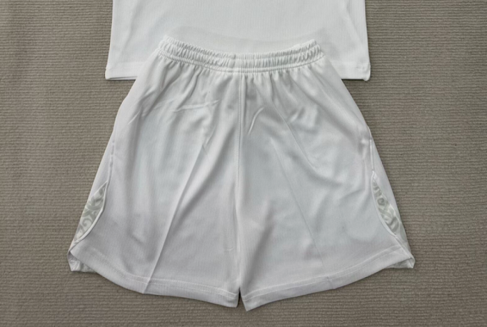 Fan Version 2026 Norway Third Away White Soccer Shorts Football Shorts