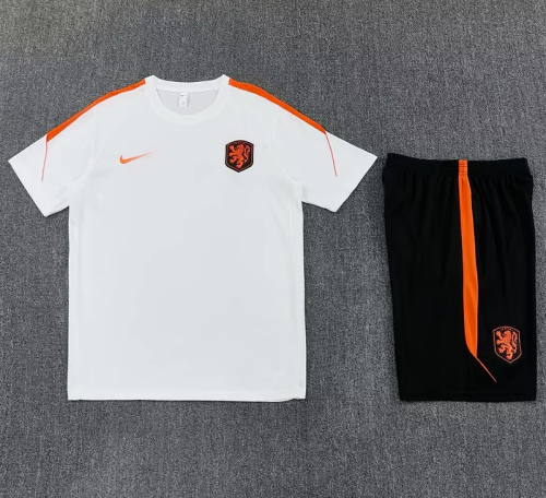 Adult Uniform 2026-2027 Netherlands Orange Soccer Training Jersey and Shorts Football Kits