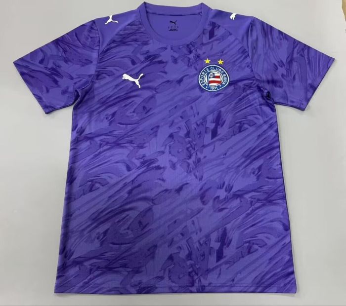 Fan Version 2026-2027 Bahia Purple Goalkeeper Soccer Jersey Football Shirt