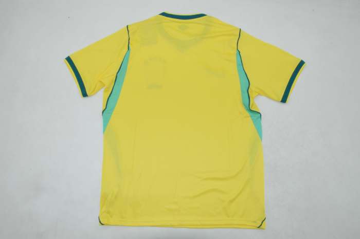 Fan Version 2026 Brazil Home Soccer Jersey Brasil Camisetas de Futbol