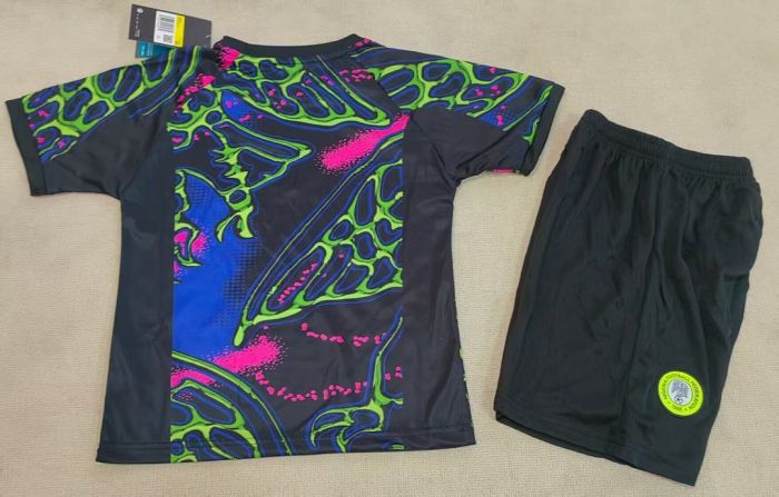Youth Uniform Kids Kit 2026 Nigeria Goalkeeper Soccer Jersey Shorts Child Football Set