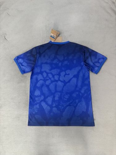 Fan Version 2026 Brazil AJ Blue Soccer Jersey Brasil Camisetas de Futbol