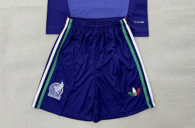 Fan Version 2026 Mexico Purple Goalkeeper Soccer Shorts Football Shorts