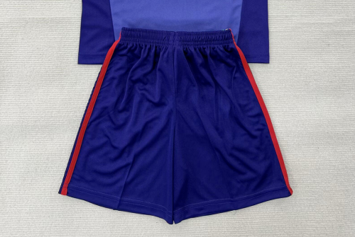 Fan Version 2026 Mexico Purple Goalkeeper Soccer Shorts Football Shorts