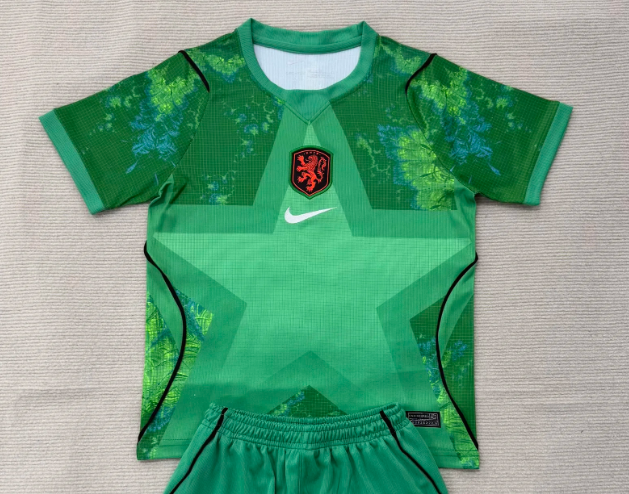 Fan Version 2026 Netherlands Green Goalkeeper Soccer Jersey Holland Football Shirt