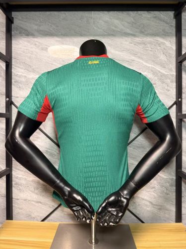Player Version 2026 Senegal Away Green Soccer Jersey Football Shirt