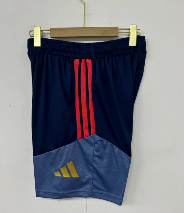 Player Version 2026-2027 Bayern Munich Black/Dark Grey Soccer Training Shorts Football Shorts
