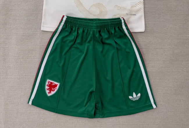 Fan Version 2026 Wales Away Soccer Shorts Football Shorts