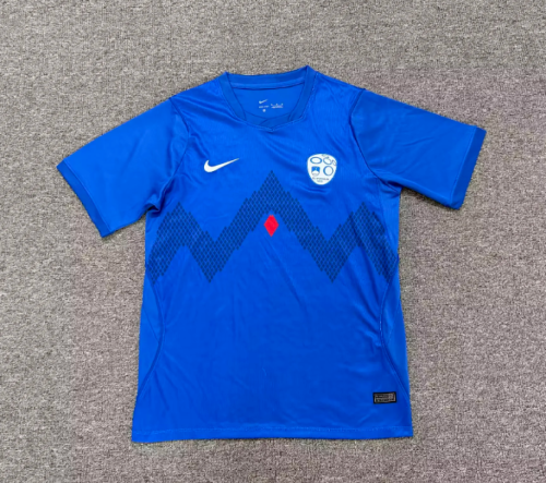 Fan Version 2026 Slovenia Home Soccer Jersey Football Shirt