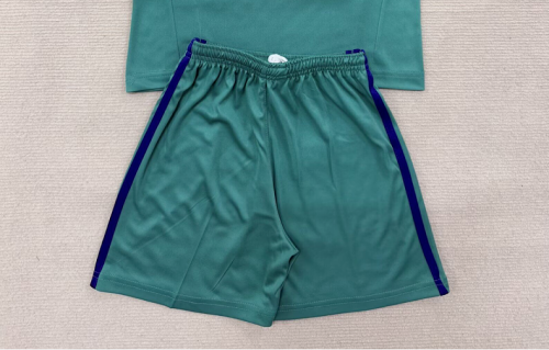 Fan Version 2026 Argentina Away Green Soccer Shorts Football Shorts