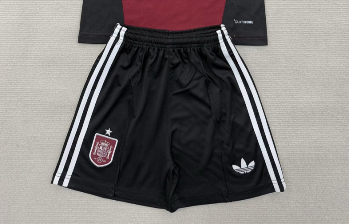 Fan Version 2026 Spain Goalkeeper Soccer Shorts Football Shorts