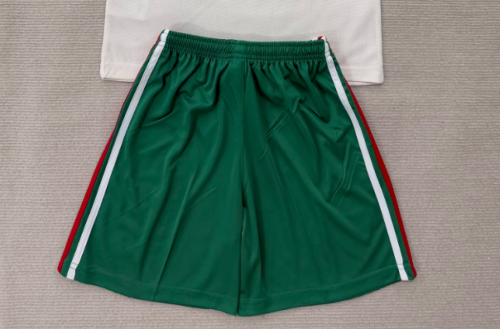 Fan Version 2026 Wales Away Soccer Shorts Football Shorts