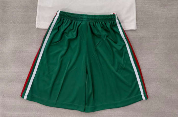 Fan Version 2026 Wales Away Soccer Shorts Football Shorts
