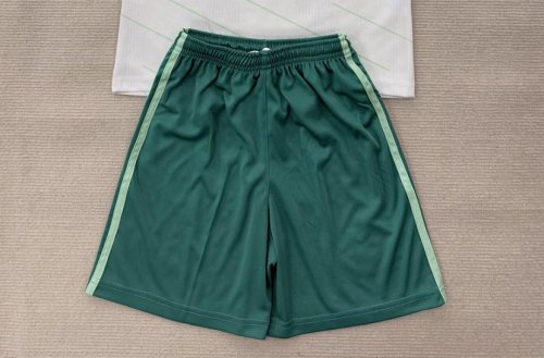 Fan Version 2025-2026 Northern Ireland Away Green Soccer Shorts Football Shorts