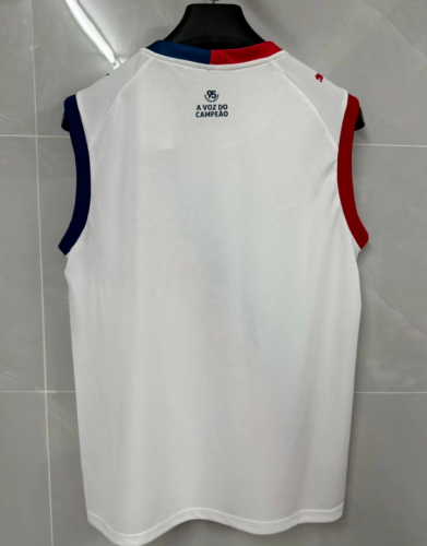 Fan Version 2026-2027 Bahia Home Soccer Vest Football Shirt