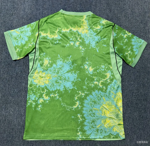 Fan Version 2026 Netherlands Light Green Goalkeeper Soccer Jersey Holland Football Shirt