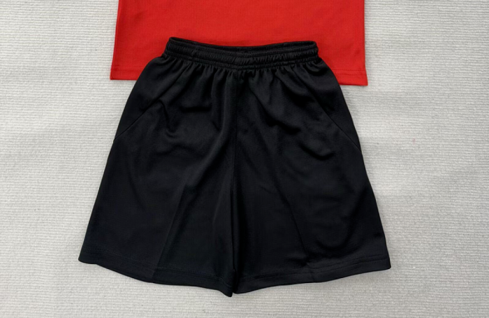 Fan Version 2026 Egypt Home Soccer Shorts Football Shorts