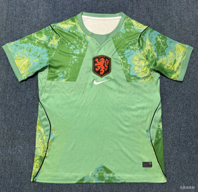 Fan Version 2026 Netherlands Light Green Goalkeeper Soccer Jersey Holland Football Shirt