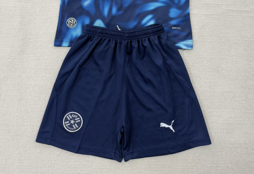 Fan Version 2026 Paraguay Away Soccer Shorts Football Shorts