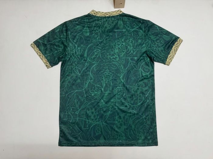 Fan Version 2026 Brazil Dark Green Soccer Jersey Brasil Camisetas de Futbol