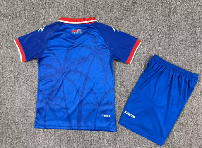 Youth Uniform Kids Kit 2026 Haiti Home Soccer Jersey Shorts Child Football Set