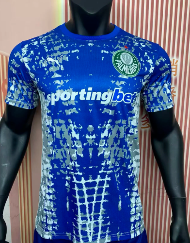 Fan Version 2026-2027 Palmeiras Blue Goalkeeper Soccer Jersey Football Shirt