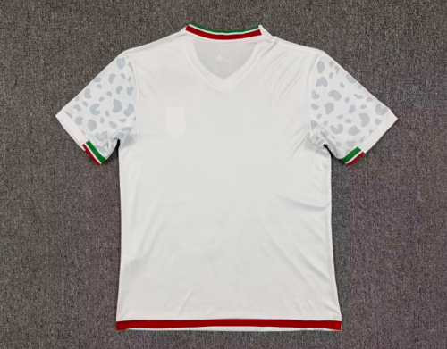 Fan Version 2026 Iran Home Soccer Jersey Men's Football Shirt