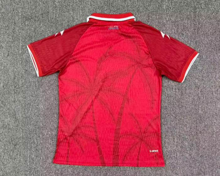 Player Version 2026 Haiti Third Away Red Soccer Jersey Football Shirt