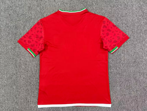 Fan Version 2026 Iran Away Red Soccer Jersey Men's Football Shirt