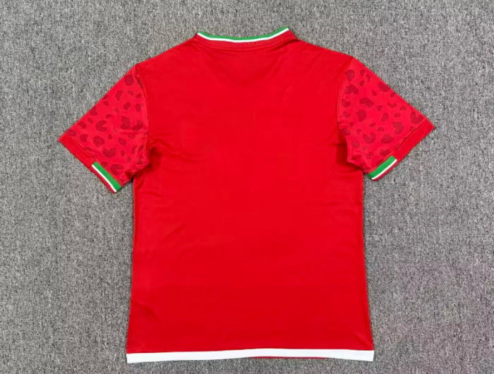 Fan Version 2026 Iran Away Red Soccer Jersey Men's Football Shirt