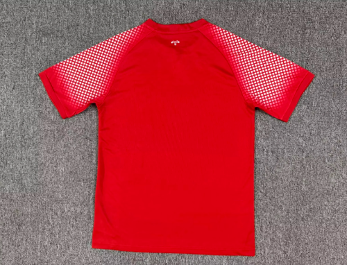 Fan Version 2026 Jordan Away Red Soccer Jersey Football Shirt