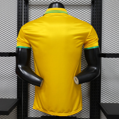 Player Version 2026 Brazil Yellow AJ Soccer Polo Brasil Camisetas de Futbol