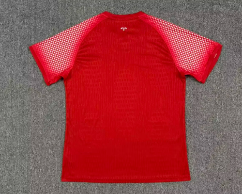 Player Version 2026 Jordan Away Red Soccer Jersey Football Shirt