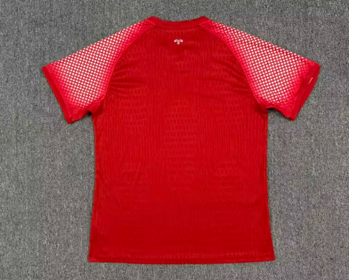 Player Version 2026 Jordan Away Red Soccer Jersey Football Shirt