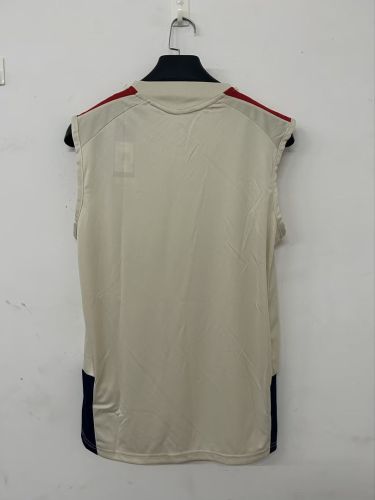 Fan Version 2026-2027 Bayern Munich Grey Soccer Vest Bayern Munchen Football Shirt