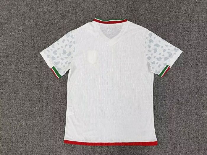 Player Version 2026 Iran Home Soccer Jersey Men's Football Shirt
