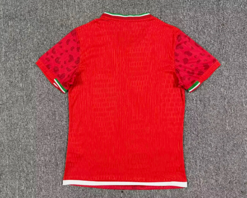 Player Version 2026 Iran Away Red Soccer Jersey Men's Football Shirt