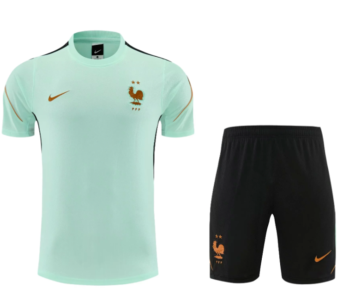 Adult Uniform 2026-2027 France Light Green Soccer Training Jersey and Shorts Football Kits