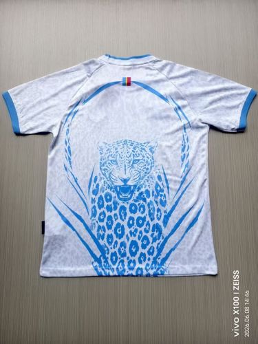 Fans Version 2026 FIFA World Cup Congo Away White Soccer Jersey Football Shirt