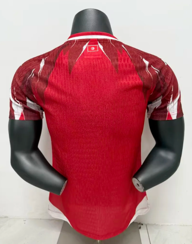Player Version 2026 Tunisia Red Soccer Jersey Football Shirt