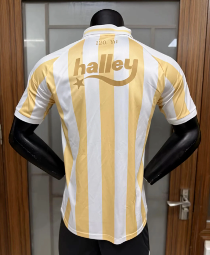 Fan Version 2026-2027 Fenerbahce Away Soccer Jersey Fenerbahçe Football Shirt