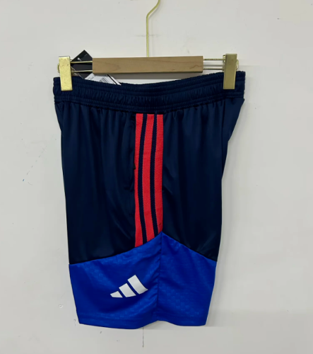 Fan Version 2026-2027 Lyon Black/Blue Soccer Training Shorts Football Shorts