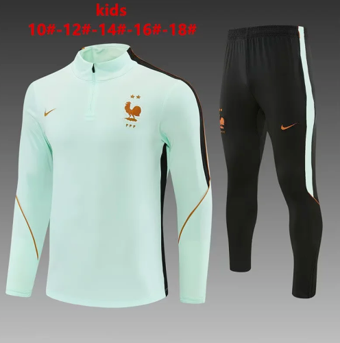 Youth 2026 France Light Green Soccer Training Sweater and Pants Child Football Kit