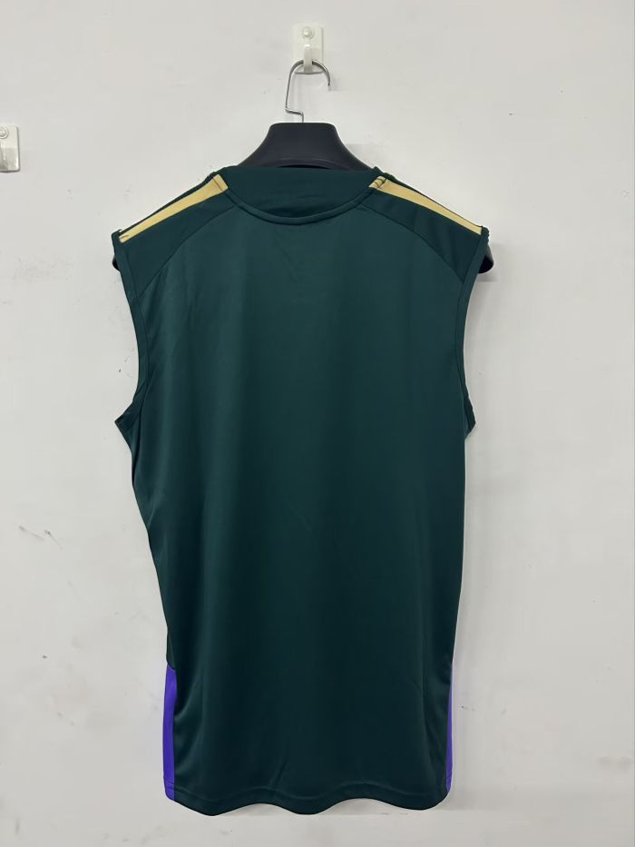 Fans Version 2026 Saudi Arabia Green Soccer Training Vest Football Shirt