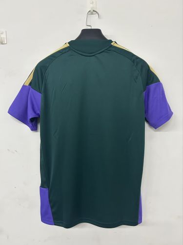 Fans Version 2026 Saudi Arabia Green Soccer Training Jersey Football Shirt