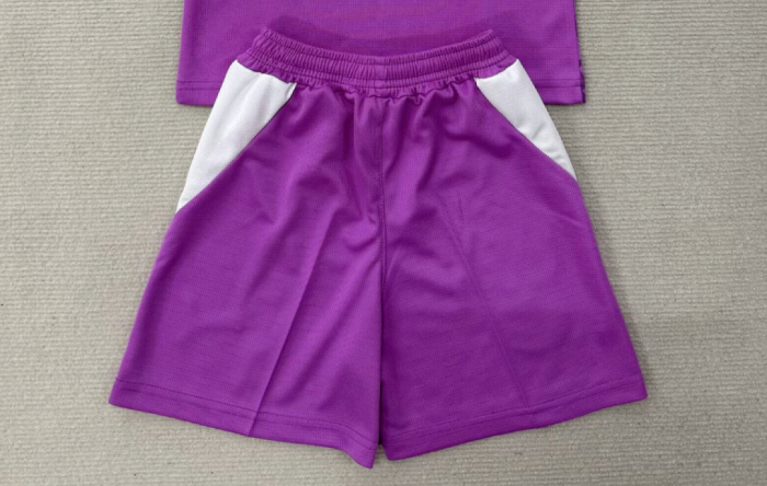 Fan Version 2026-2027 PSV Eindhoven Purple Goalkeeper Soccer Shorts Football Shorts