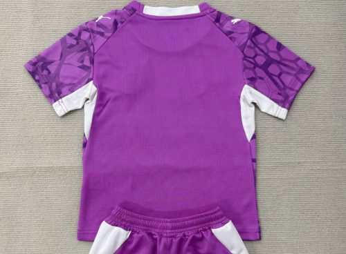 Fan Version 2025-2026 PSV Eindhoven Purple Goalkeeper Soccer Jersey Football Shirt