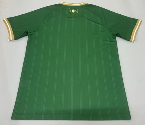 Fan Version 2026-2027 Vasco Da Gama Green Special Edition Soccer Jersey Footall Training Shirt